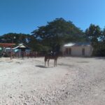 Horseback ride n Swim - Authentic Experiences and Traveler Insights