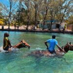 Horseback Ride n Swim & Bamboo Rafting With Limestone Massage - The Sum Up