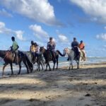 Horseback Ride Through Puerto Plata - Final Thoughts
