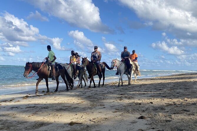 Horseback Ride Through Puerto Plata - Final Thoughts