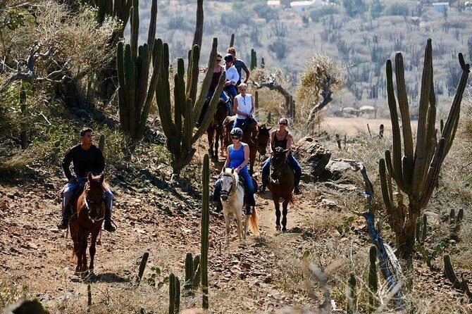 Horseback Ride Tour to Natural Pool in Arikok National Park