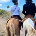 Horseback Riding, A Scenic Escape - Analyzing the Value