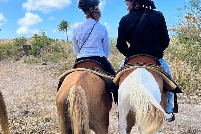 Horseback Riding, A Scenic Escape - Analyzing the Value