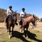 Horseback Riding Adventure in Cusco - The Sum Up