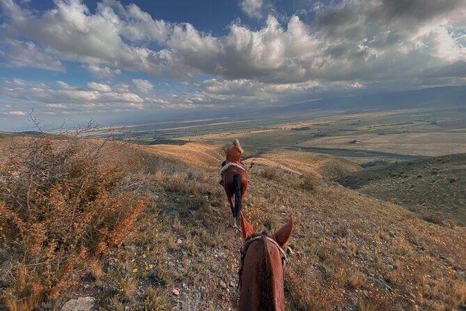 Horseback riding and barbecue in a private ranch - La Carrera, Mendoza - The Sum Up