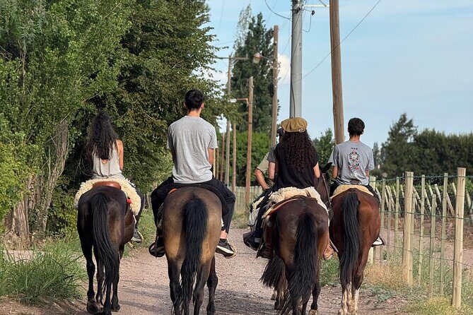 Horseback riding and lodging in Mendoza - Exploring Mendoza on Horseback: An In-Depth Look