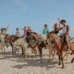 Horseback Riding and Natural Pool Adventure in Aruba - Who Should Consider This Tour?