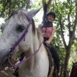 Horseback Riding and Waterfall Tour from San Ignacio - Potential Drawbacks to Consider