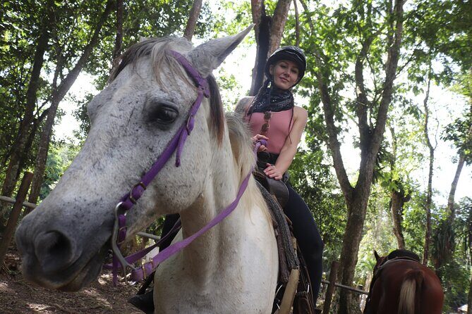 Horseback Riding and Waterfall Tour from San Ignacio - Potential Drawbacks to Consider