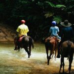 Horseback Riding and Waterfalls from Manuel Antonio - A Detailed Look at What to Expect