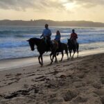 Horseback Riding at Sunrise on the Beach of Punta Cana - Why Choose This Tour?