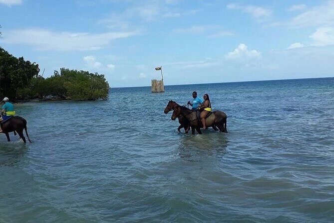Horseback Riding, ATV and Ocean Zip lining combo from Montego Bay - Is This Tour Worth the Price?