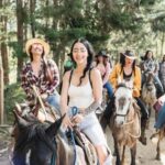 Horseback Riding Caldas Antioquia All Inclusive - A Detailed Look at the Experience