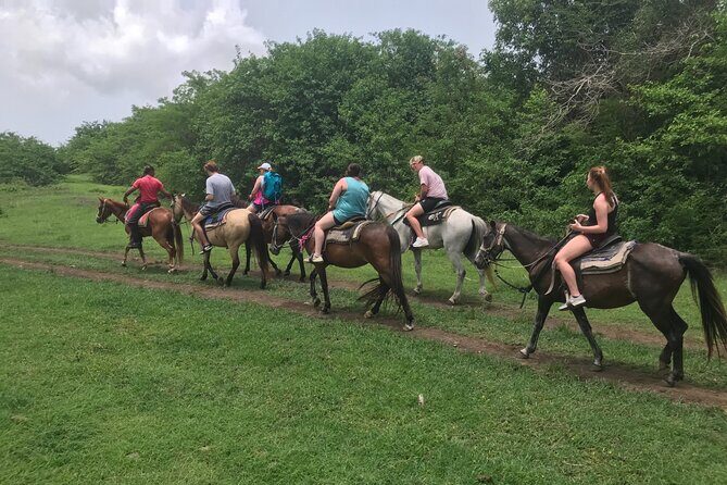 Horseback Riding Experience - Exploring the Horseback Riding Tour in Depth