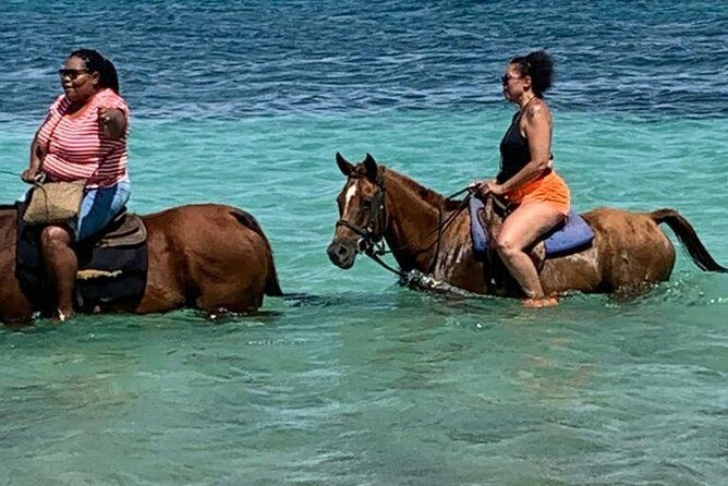 Horseback Riding from Montego Bay - What the Reviews Reveal