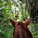 Horseback Riding in Hopkins - Frequently Asked Questions