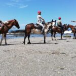 Horseback Riding in Playa Carrillo - Discovering the Experience in Detail