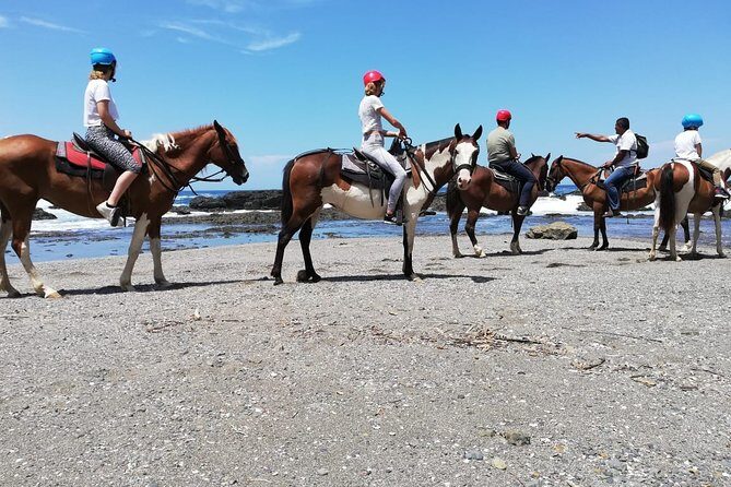 Horseback Riding in Playa Carrillo - Discovering the Experience in Detail