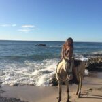 Horseback Riding in Tamarindo Beach - Who Should Book This Tour?