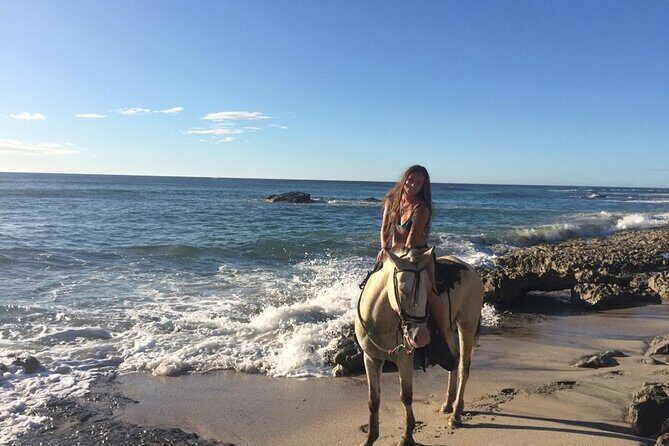 Horseback Riding in Tamarindo Beach - Who Should Book This Tour?