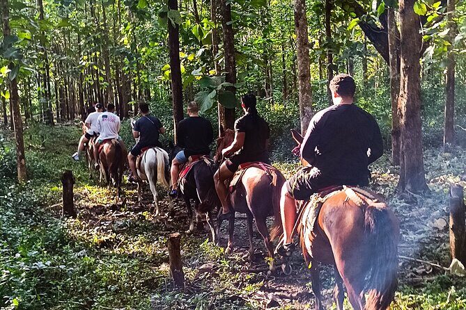 Horseback Riding in Tarcoles Garabito, a Life Experience. - FAQ