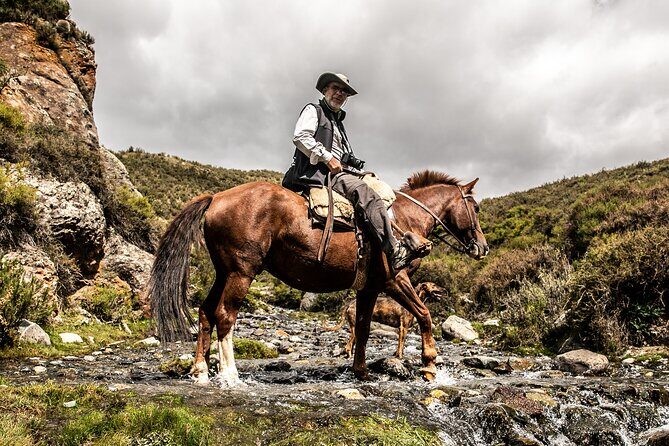 Horseback Riding in the Andes, gaucho experience & BBQ - An In-Depth Look at the Horseback Riding in Mendoza Tour