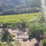Horseback riding in the Cochiguaz River Sanctuary in the Elqui Valley. - An In-Depth Look at the Cochiguaz River Sanctuary Tour