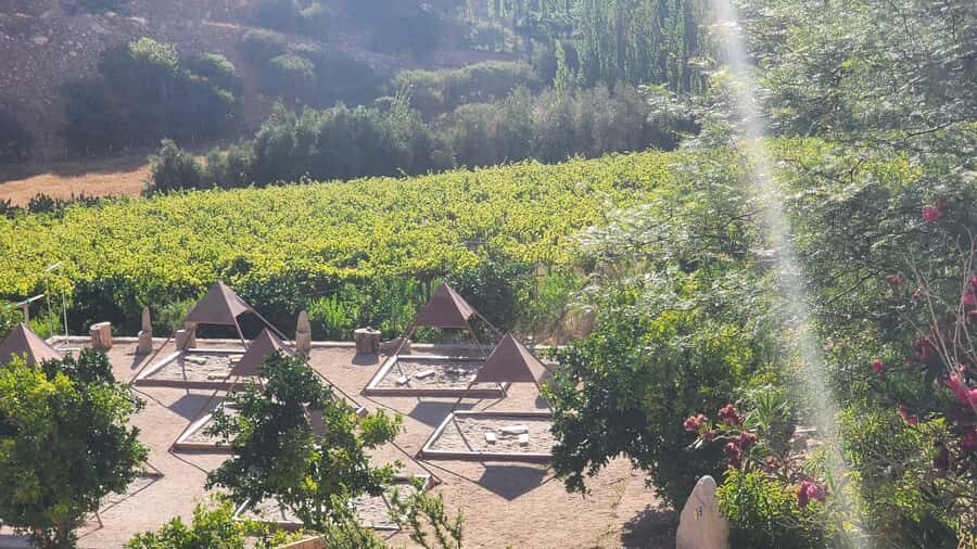Horseback riding in the Cochiguaz River Sanctuary in the Elqui Valley. - An In-Depth Look at the Cochiguaz River Sanctuary Tour
