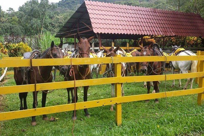 Horseback Riding Jaco - What Sets This Tour Apart
