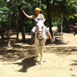 Horseback Riding Jungle and Beach in Playa Flamingo - The Heart of the Experience: What to Expect During Your Ride