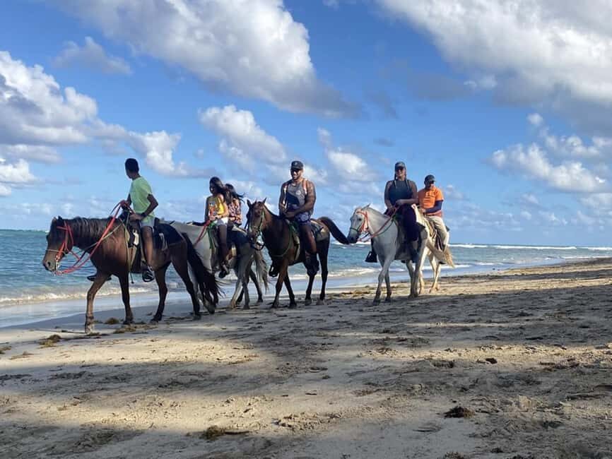 Horseback Riding Macao Beach Experience Paradise onHorseback - Detailed Breakdown of the Tour