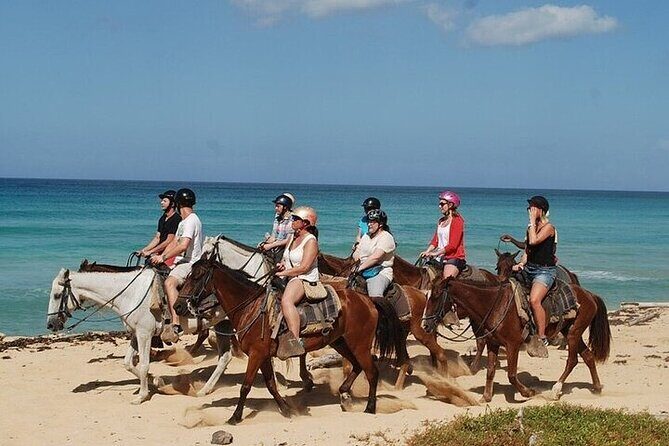 Horseback Riding on Punta Cana Beach with Transportation - In-Depth Review of the Horseback Riding on Punta Cana Beach Tour
