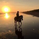 Horseback Riding On The Beach by CR Beach Barn - Itinerary Breakdown: What You’ll Experience