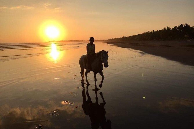 Horseback Riding On The Beach by CR Beach Barn - Itinerary Breakdown: What You’ll Experience