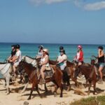 Horseback Riding on the Beaches of Punta Cana - What to Expect from the Itinerary