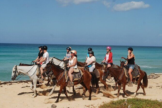 Horseback Riding on the Beaches of Punta Cana - What to Expect from the Itinerary