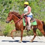 Horseback Riding on the Stunning Beaches of Punta Cana - Practical Considerations for Your Ride