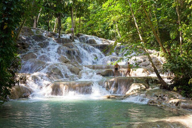 Horseback Riding plus Dunns River Falls Combo Private Tour - Who Should Book This Tour?