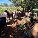Horseback Riding Private Tour - A Deep Dive into the Horseback Riding Private Tour