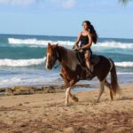 Horseback Riding through Secluded Beaches and Tropical Forests - FAQ