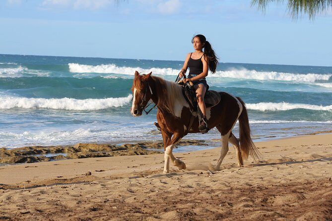 Horseback Riding through Secluded Beaches and Tropical Forests - FAQ