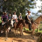 Horseback riding through the mountains of Medellín - Who Should Consider This Tour?