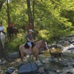 Horseback riding through the Sierras - Transportation, Group Size, and Booking