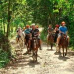 Horseback Riding to La Fortuna Waterfall - Authenticity and Value