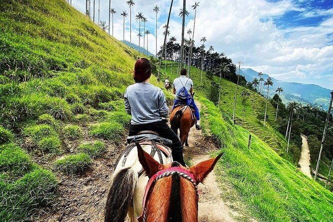 Horseback riding to the viewpoints and the Sestillal waterfall in Salento - FAQ