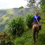 Horseback Riding Tour and visit to Tablón, Chaquira, Pelota - Practical Details & Value