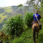 Horseback Riding Tour and visit to Tablón, Chaquira, Pelota and Purutal - The Sum Up