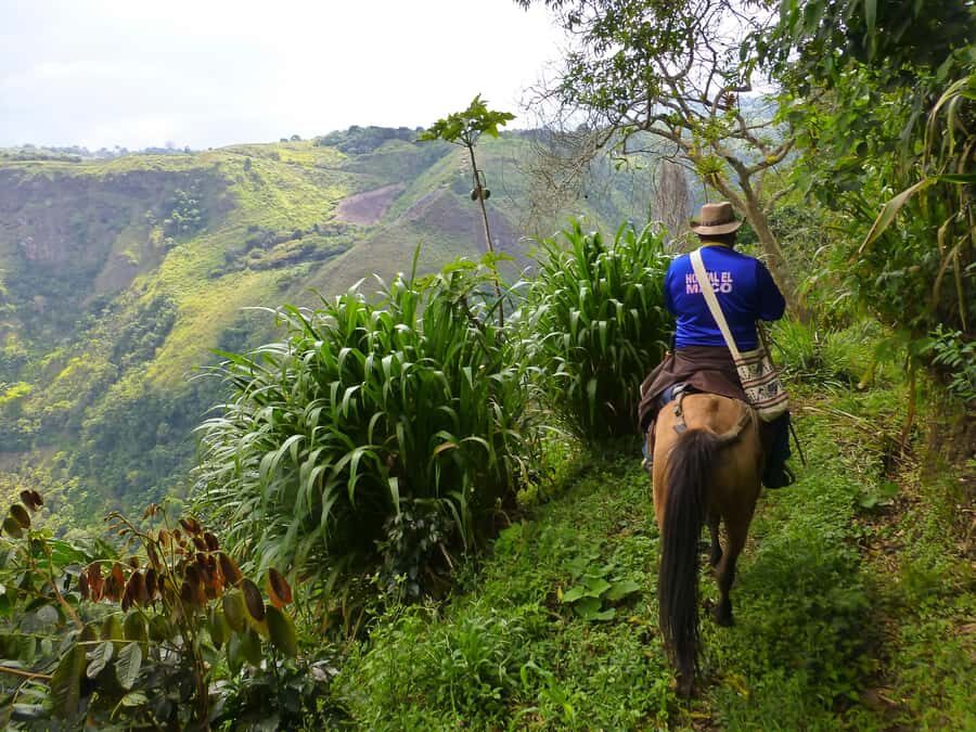 Horseback Riding Tour and visit to Tablón, Chaquira, Pelota - Practical Details & Value
