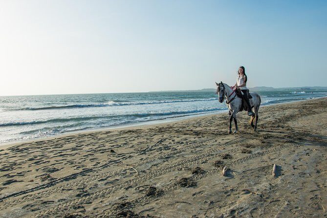 Horseback riding tour in a Colombian Paso fino horse - Final Thoughts: Is It Worth It?