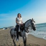 Horseback Riding Tour in Beach of Cartagena - Who Will Love This Experience?
